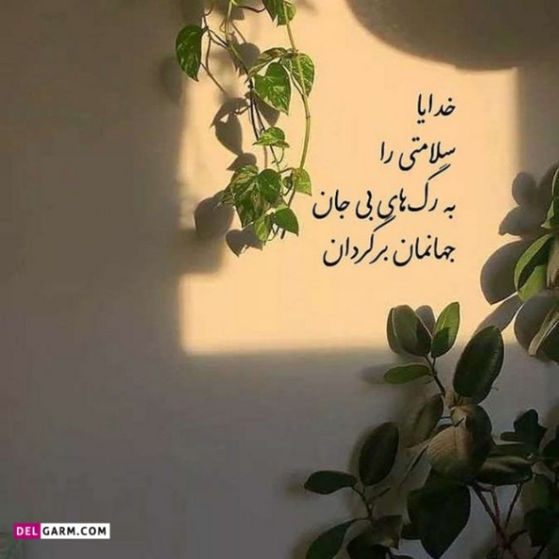 دانلود آهنگ همدم معین علی سورنا ناجی صادق پیشرو خلوت بهرام از فارس ترانه